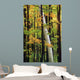 Tall Trees Forest Wall Decal