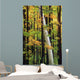 Tall Trees Forest Wall Decal