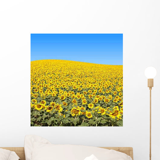 Sunflower Field Wall Decal