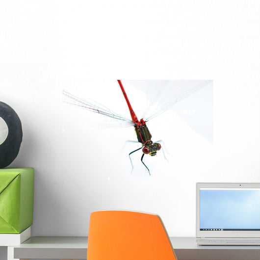 Dragonfly Wall Decal