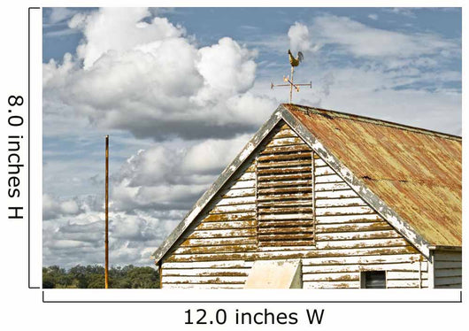 Wind Rooster Roof Farm Wall Decal