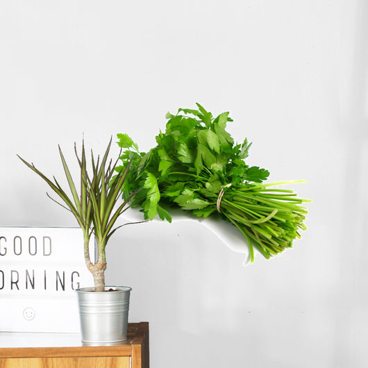 Bouquet Parsley White Wall Decal