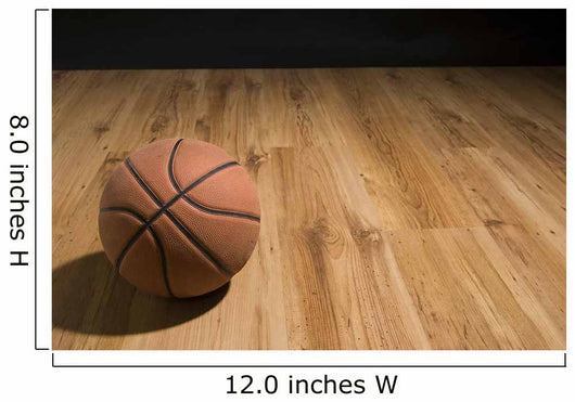 Basketball Wall Mural