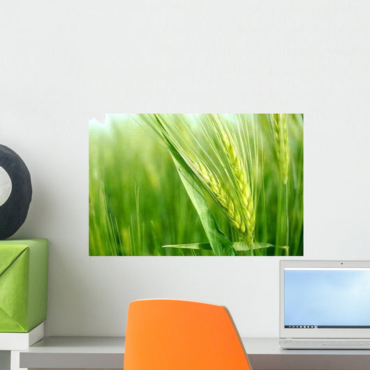 Grain Wall Decal