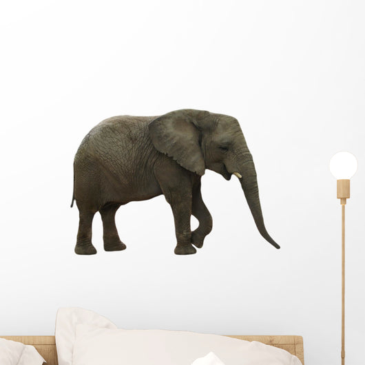 Elephant Wall Decal Design 2