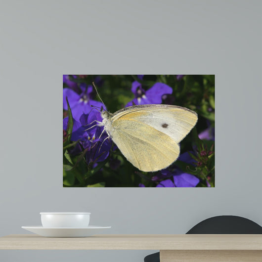 Butterfly with Flower Wall Decal