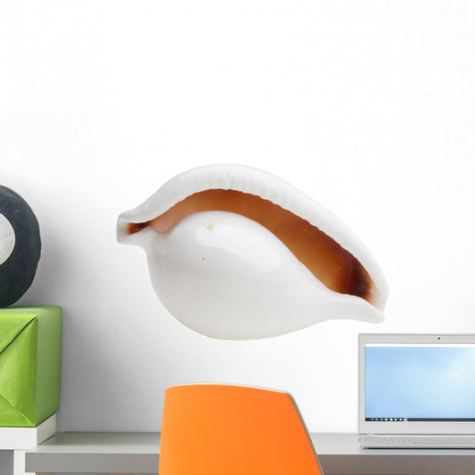 Shell Wall Decal
