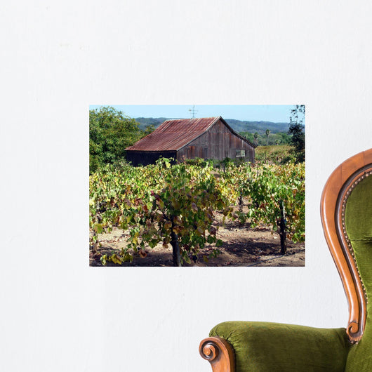 Old Barn and Vineyard Wall Decal