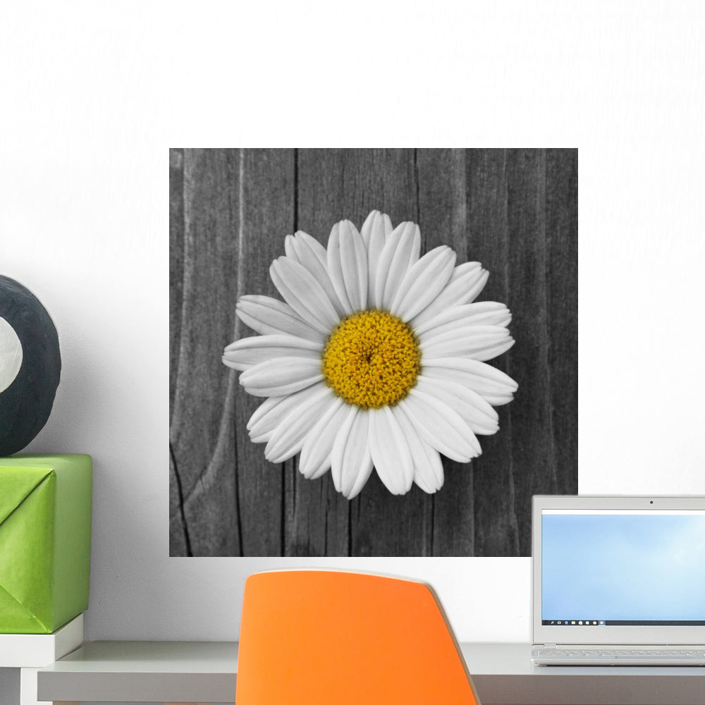 Daisies Flower Wood Wall Decal - WallMonkeys.com – Wallmonkeys