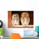 Two Tawny Owls Wall Decal