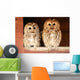 Two Tawny Owls Wall Decal