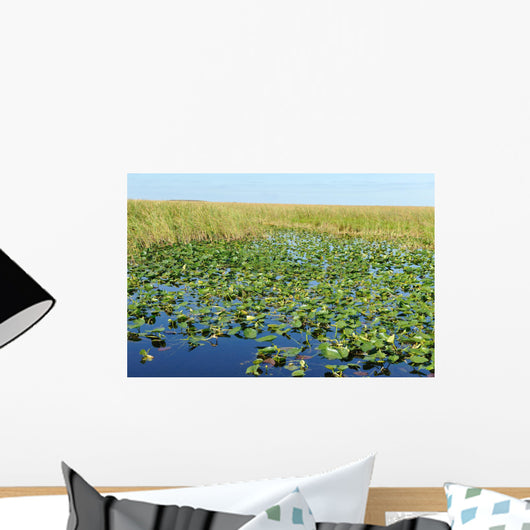 Everglades Wall Decal