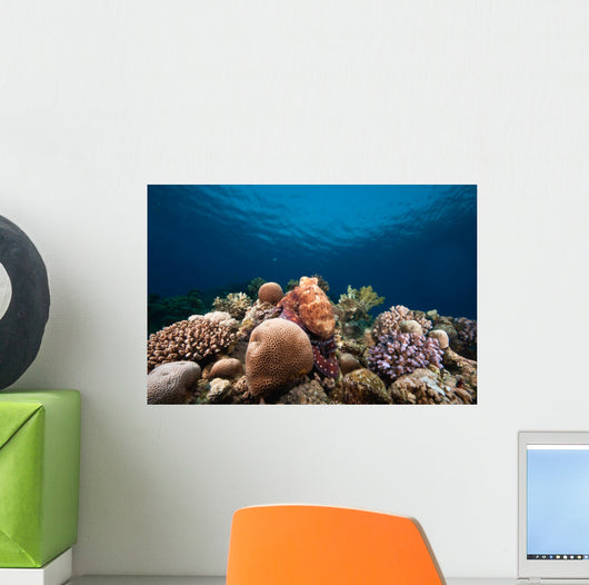 Ocean Sun and Octopus Wall Decal