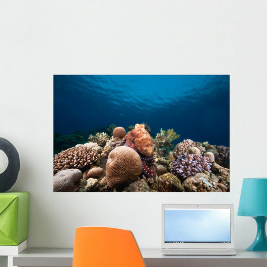 Ocean Sun and Octopus Wall Decal