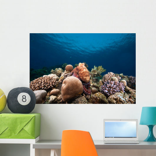 Ocean Sun and Octopus Wall Decal