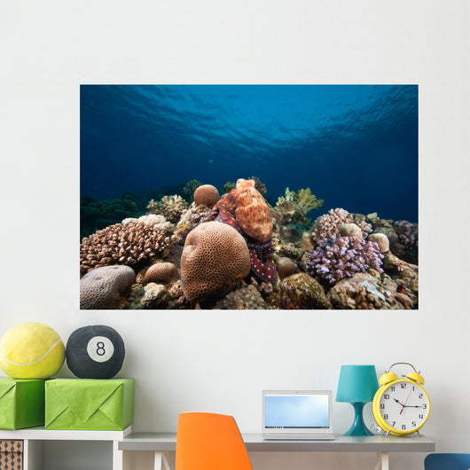 Ocean Sun and Octopus Wall Decal