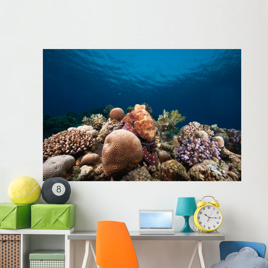 Ocean Sun and Octopus Wall Decal