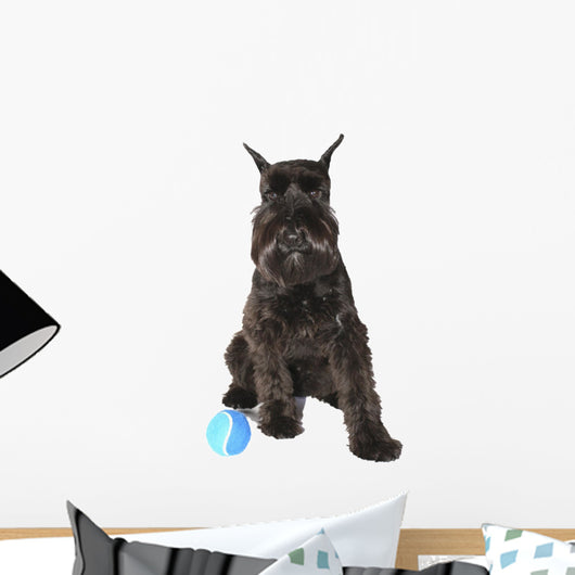 Schnauzer Dog with Ball Wall Decal