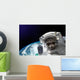 Nasa Space Raccoon Astronaut Wall Decal