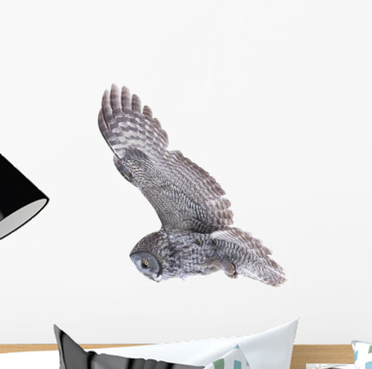 Flying Great Grey Owl Wall Decal