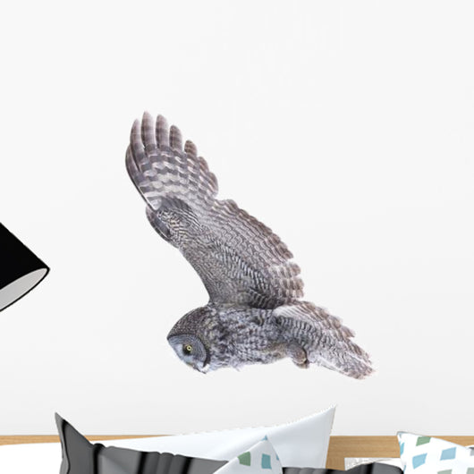 Flying Great Grey Owl Wall Decal