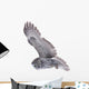 Flying Great Grey Owl Wall Decal