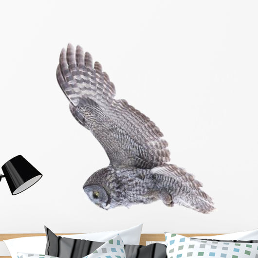 Flying Great Grey Owl Wall Decal