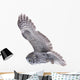 Flying Great Grey Owl Wall Decal