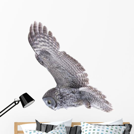 Flying Great Grey Owl Wall Decal