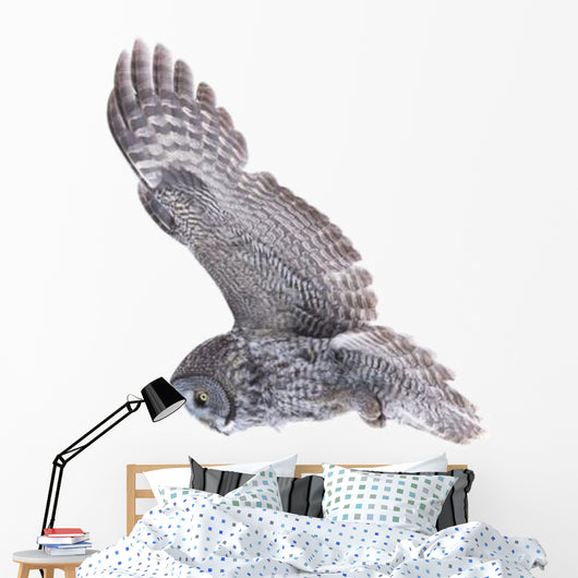 Flying Great Grey Owl Wall Decal