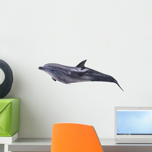 Dark Gray Lying Dolphin Wall Decal