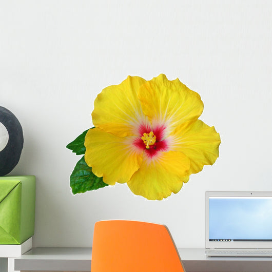 Yellow Hibiscus Flower Wall Decal