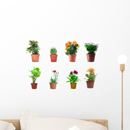 Set Potted Plants Wall Stickers Wall Decal