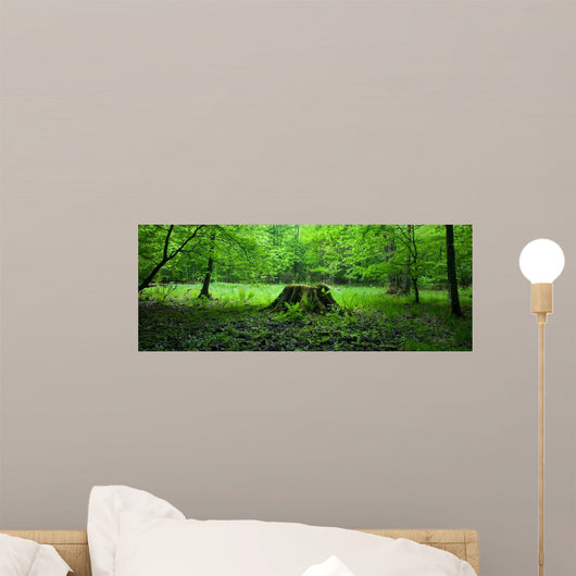 Forest Springtime Wall Decal Panoramic Wall Decal