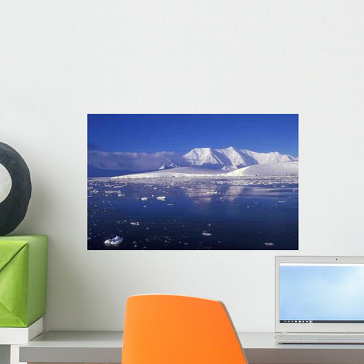 Antarctica Wall Decal