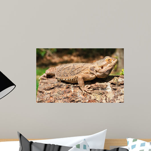 Bearded Dragon Wall Decal Design 1