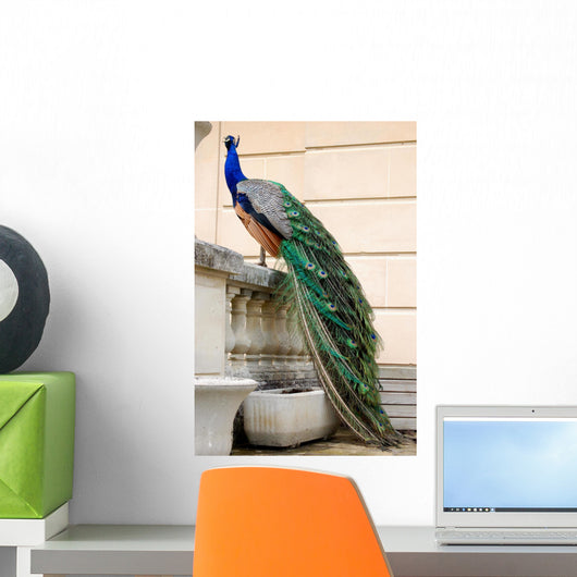 Peacock Wall Decal Design 3