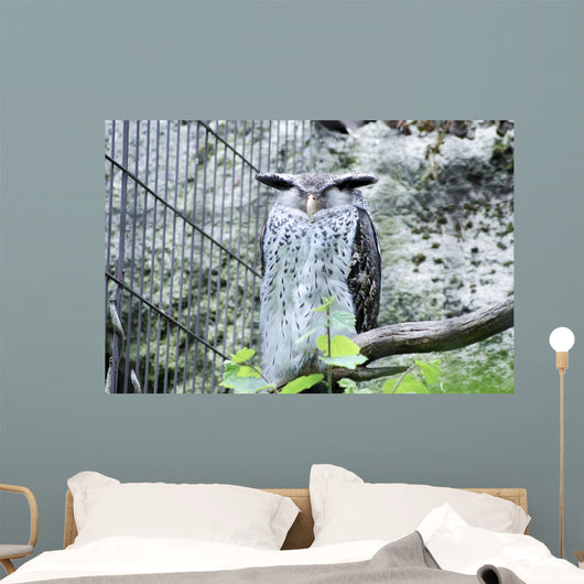 Snow Owl Wall Decal