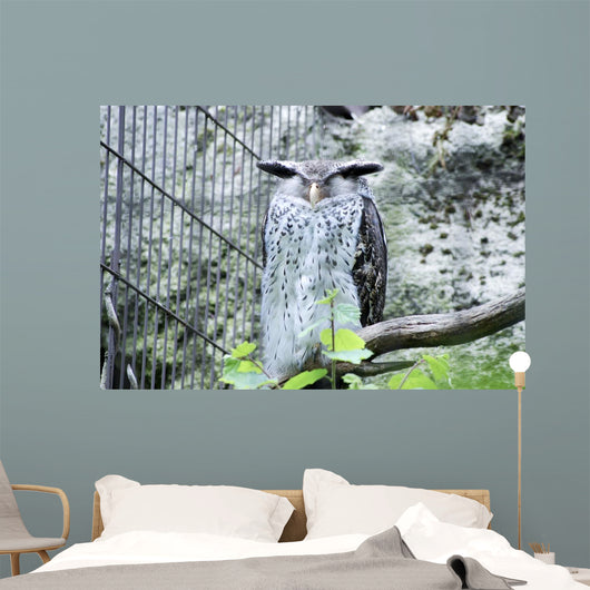 Snow Owl Wall Decal