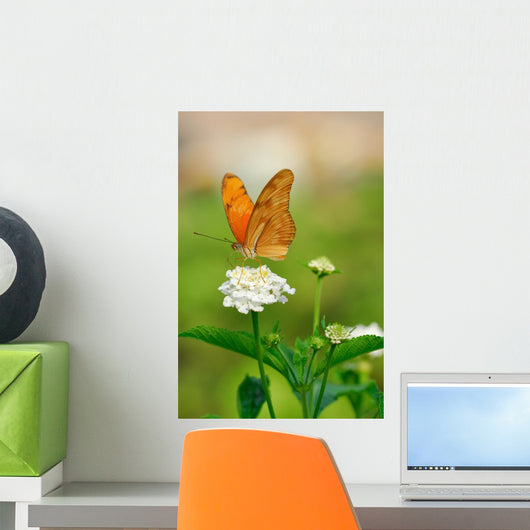 Julia Butterfly Wall Decal