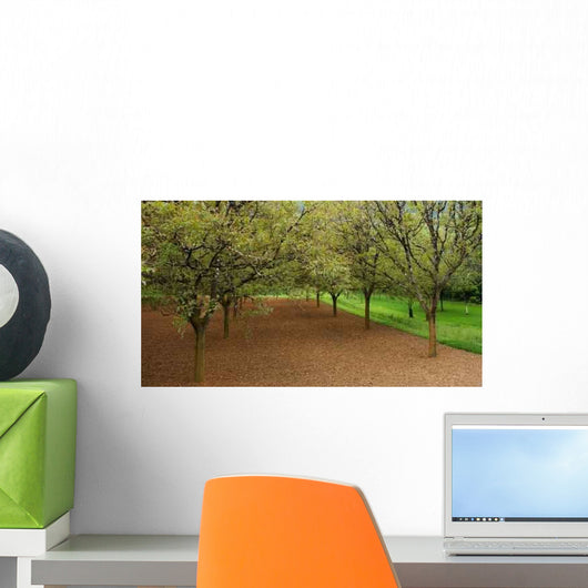 Walnut Wall Decal