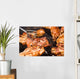 BBQ Wall Decal