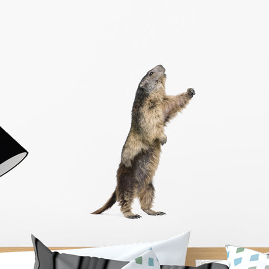 Alpine Marmot Wall Decal Design 2