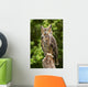 Owl Wall Decal