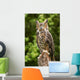 Owl Wall Decal