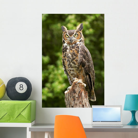 Owl Wall Decal