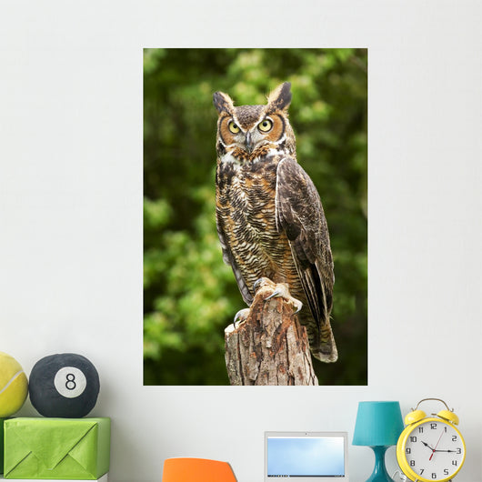 Owl Wall Decal