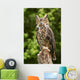 Owl Wall Decal