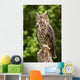 Owl Wall Decal
