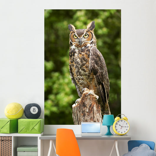 Owl Wall Decal